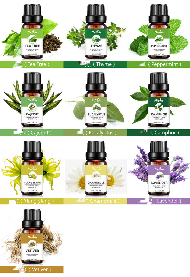 Ätherisches Öl Aromatherapie Massagepflanze 10ml Teebaum