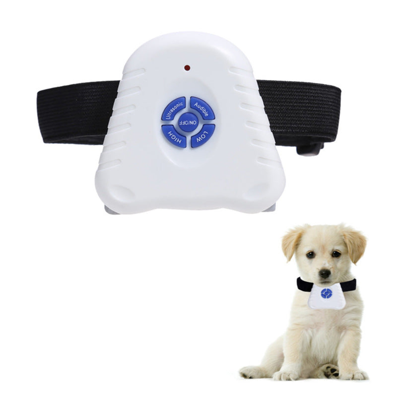 Dog wearing CJdropshipping anti bark collar to stop excessive barking, showing the collar around its neck.