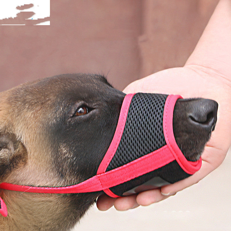 Large Labrador dog wearing a mouth cover to prevent indiscriminate eating, showcasing the CJdropshipping mouth cover product.
